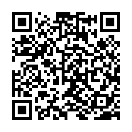 QR code for ZHT038