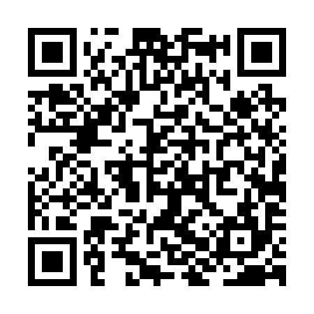 QR code for ZHT294