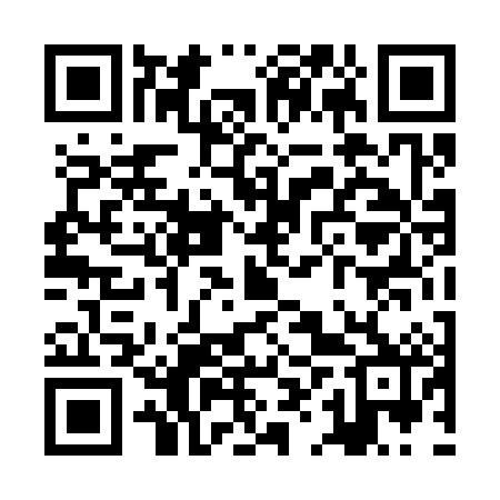 QR code for ZHT382