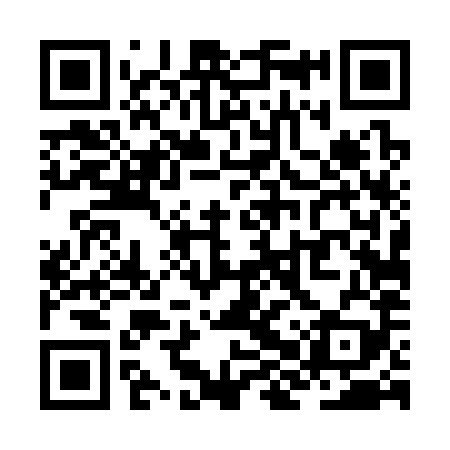 QR code for ZHT389