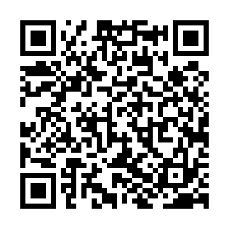 QR code for ZHT533