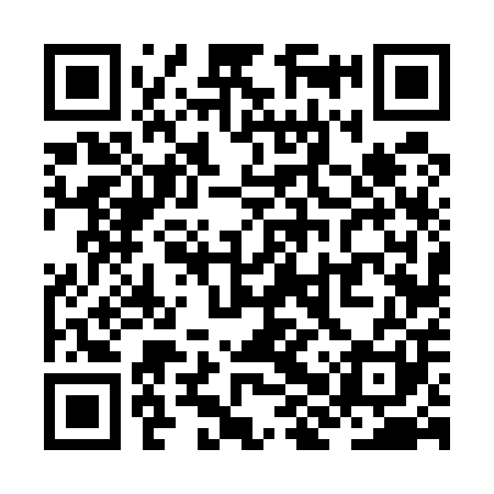 QR code for ZHV501