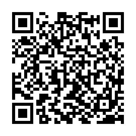 QR code for ZHX317