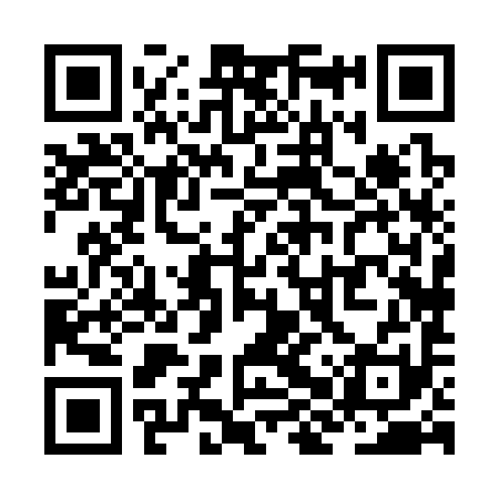 QR code for ZHX391