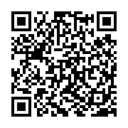 QR code for ZHZ611