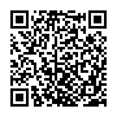 QR code for ZIC176