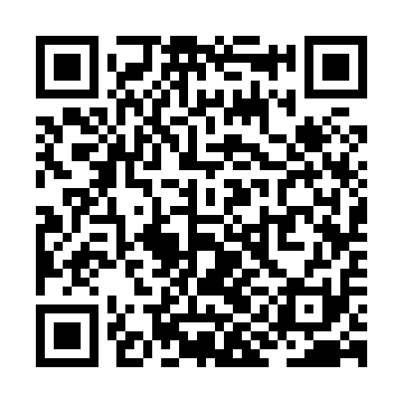 QR code for ZIC811