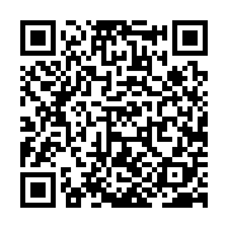 QR code for ZID308