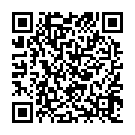 QR code for ZID318