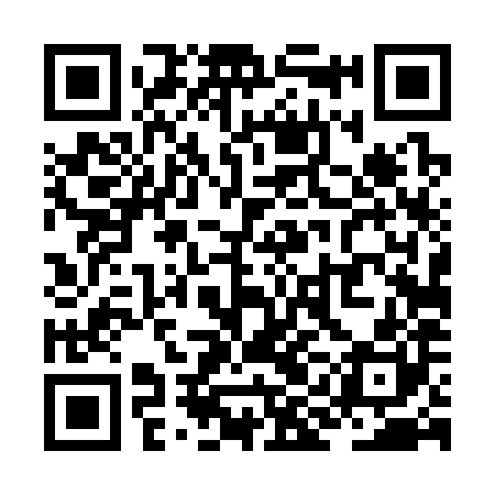 QR code for ZID380