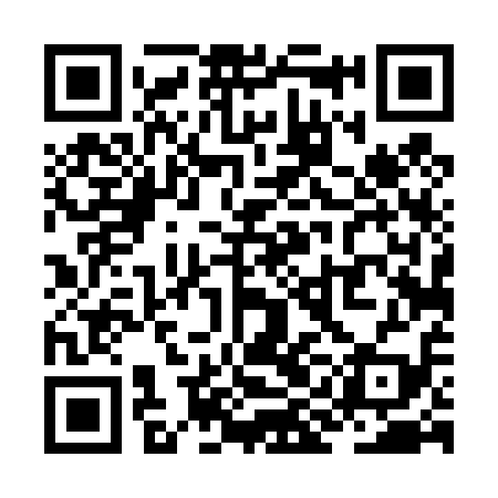 QR code for ZID419
