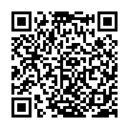 QR code for ZIF111