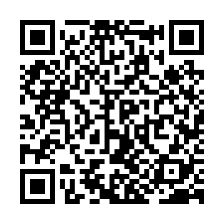 QR code for ZIF228