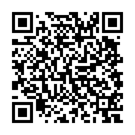 QR code for ZIF410
