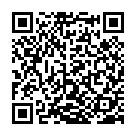 QR code for ZIG008