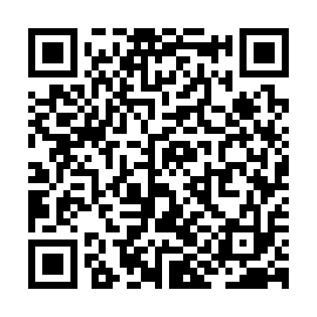 QR code for ZIG313