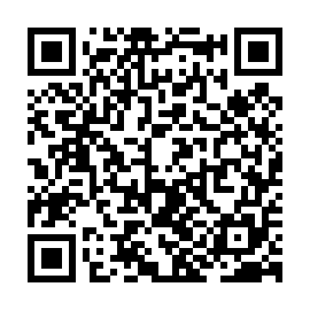 QR code for ZIG455