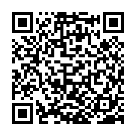 QR code for ZII030