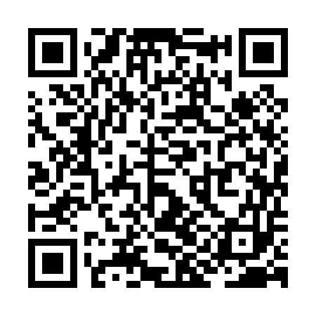 QR code for ZII053