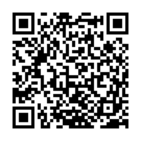 QR code for ZII163