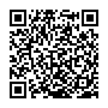 QR code for ZII311