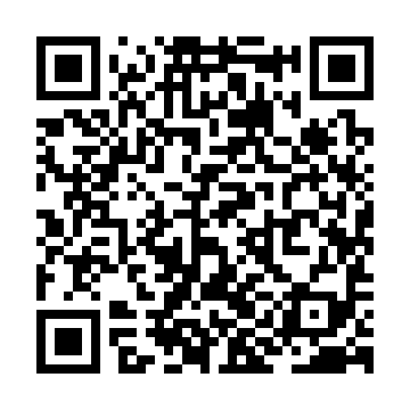 QR code for ZII399