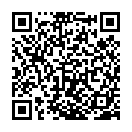 QR code for ZII401