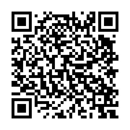 QR code for ZII407