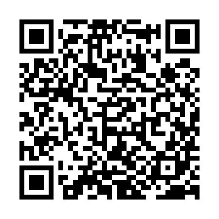 QR code for ZII580
