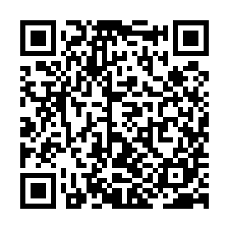 QR code for ZII585