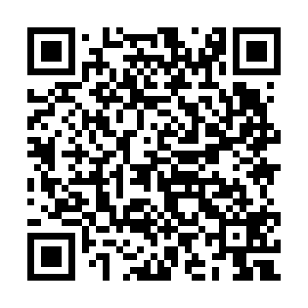 QR code for ZII619