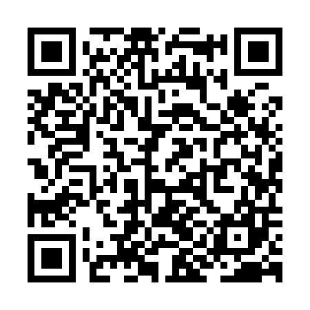 QR code for ZII907