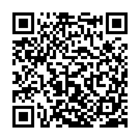 QR code for ZII955