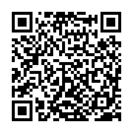 QR code for ZIJ295