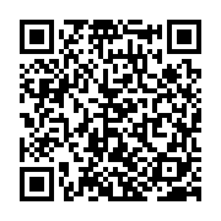 QR code for ZIK368