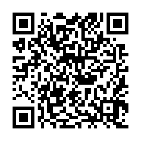 QR code for ZIK747