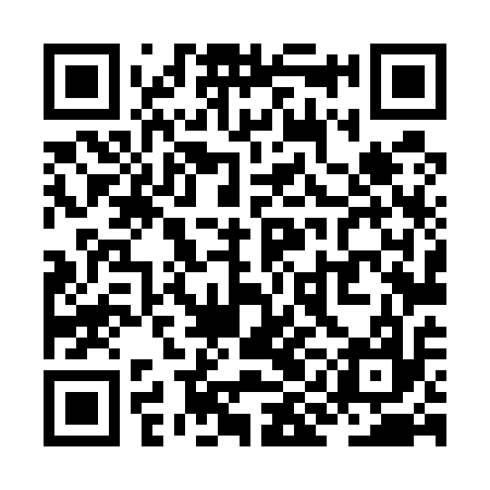 QR code for ZIL517