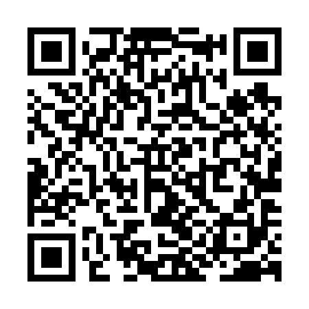 QR code for ZIL690