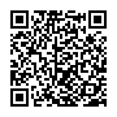 QR code for ZIL909