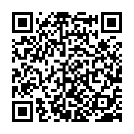 QR code for ZIL919