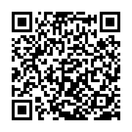 QR code for ZIN228