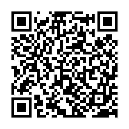 QR code for ZIN453