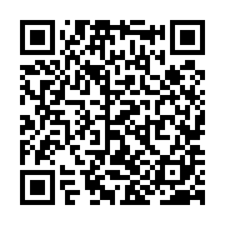QR code for ZIN581