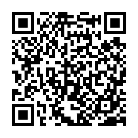 QR code for ZIN667