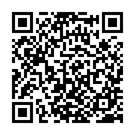 QR code for ZIN987