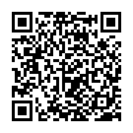 QR code for ZIN991