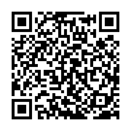 QR code for ZIP519