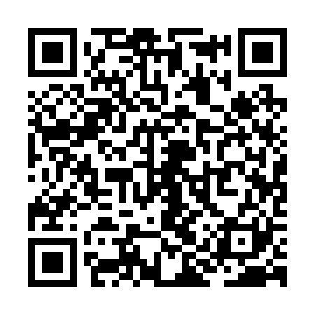 QR code for ZIQ221