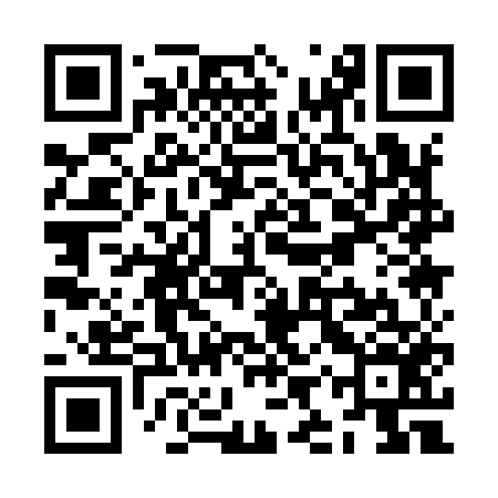 QR code for ZIQ956