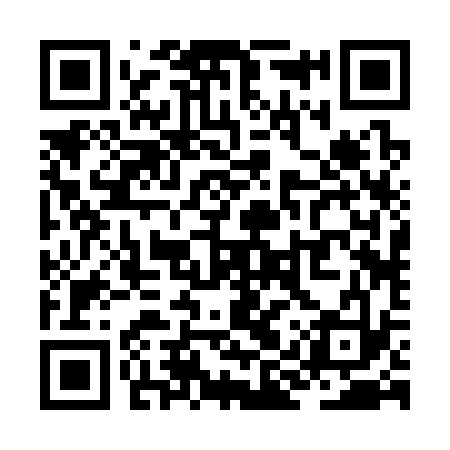 QR code for ZIR333